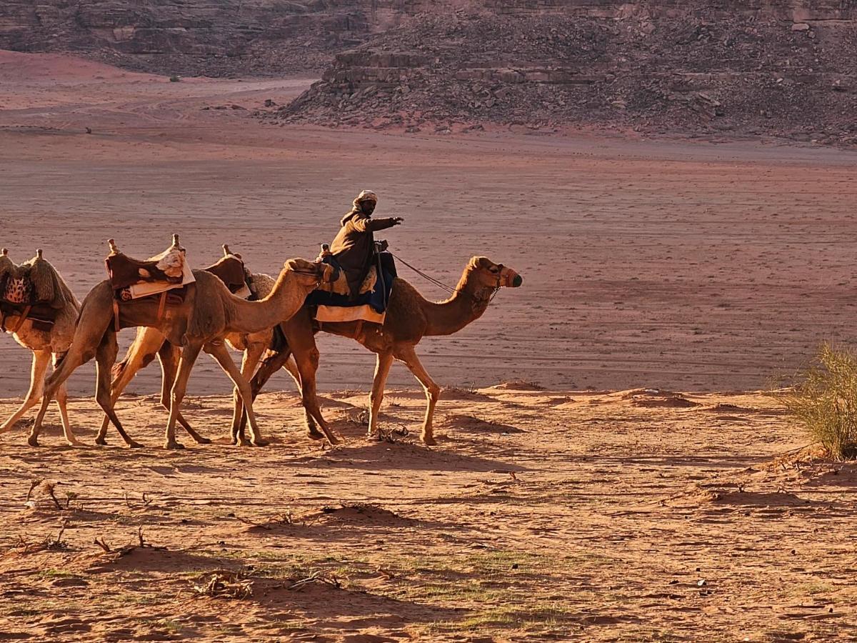 Bedouin Lifestyle Camp